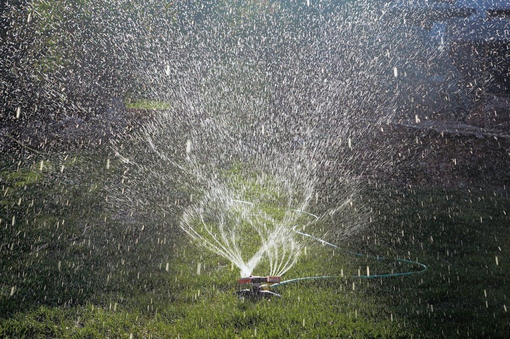 Water Sprinkler Casting Water Add  - webandi / Pixabay