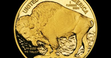 Nickel  Karat Coin Gold Bull  - Alexas_Fotos / Pixabay
