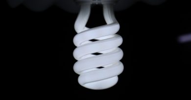 Light Bulb Illuminated Incandescent  - skipsoft / Pixabay