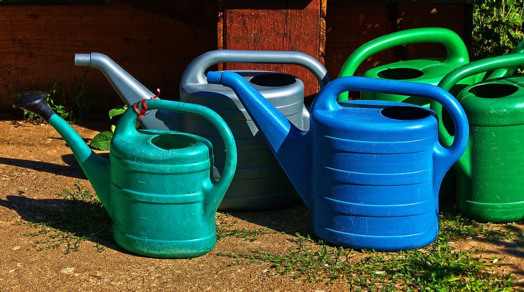 Watering Cans Spray Jug Vessel  - anaterate / Pixabay