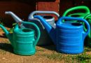 Watering Cans Spray Jug Vessel  - anaterate / Pixabay