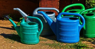 Watering Cans Spray Jug Vessel  - anaterate / Pixabay
