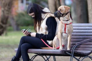 Girl Young Women Woman The Person  - Candid_Shots / Pixabay
