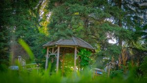 Gazebo Woods Green Forest Wood  - blazejosh / Pixabay