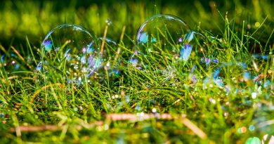 Bubbles Soap Grass Garden Shiny  - mvphotoct / Pixabay