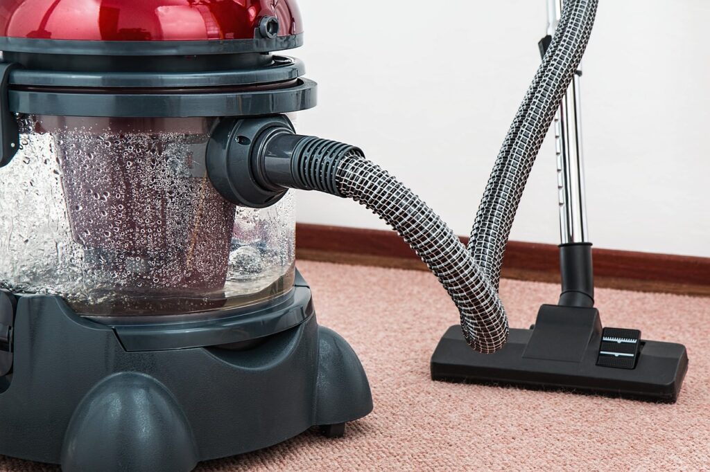 vacuum cleaner, carpet cleaner, housework