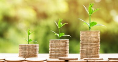 money, profit, finance, business, return, yield, financial, cash, currency, investment, banking, wealth, coin, economy, success, loan, salary, rich, credit, payment, savings, save, deposit, growth, income