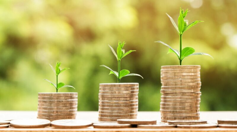 money, profit, finance, business, return, yield, financial, cash, currency, investment, banking, wealth, coin, economy, success, loan, salary, rich, credit, payment, savings, save, deposit, growth, income